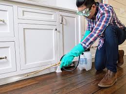 Best Real Estate Pest Inspections  in Xenia, OH